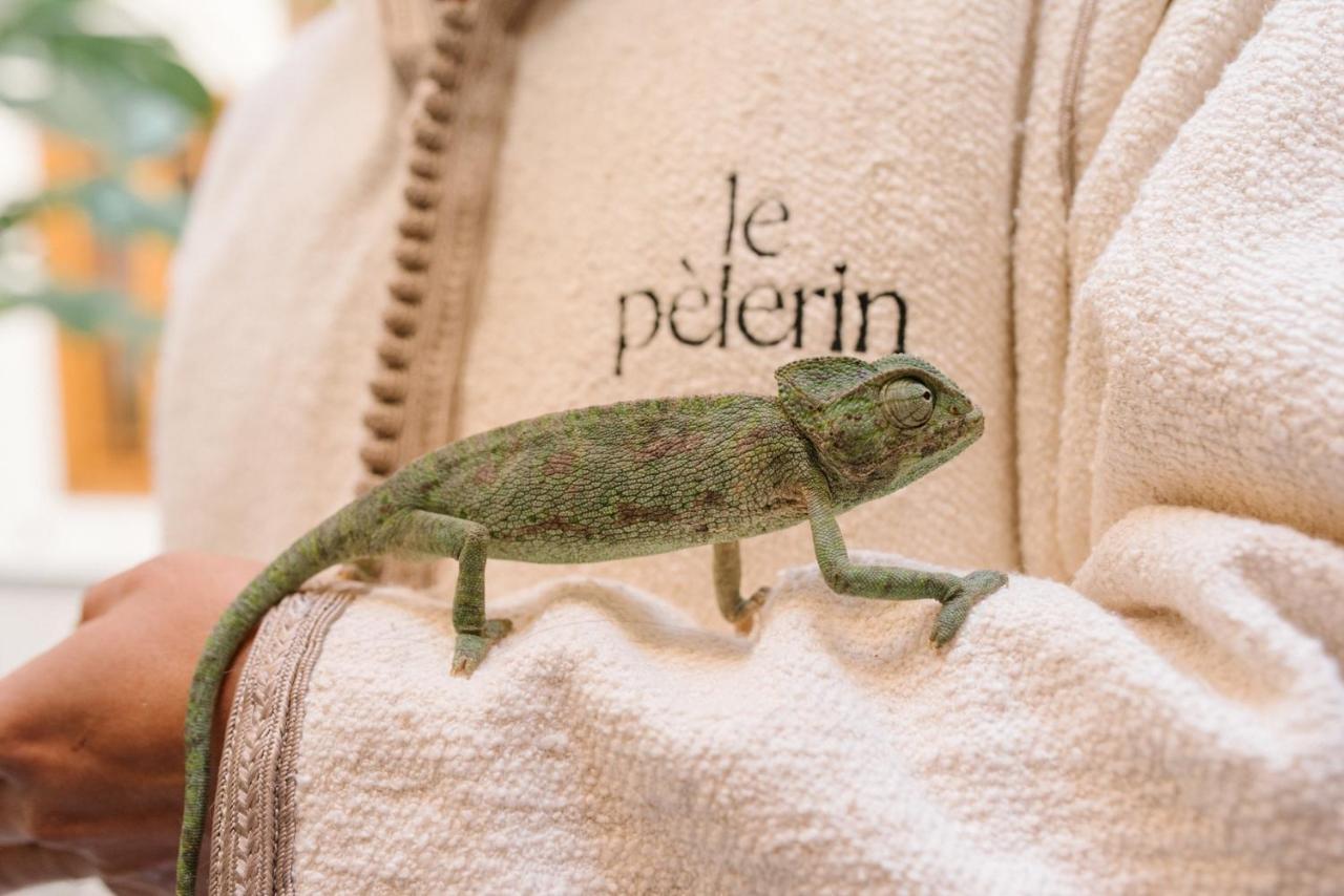 Riad Le Pelerin Marakéš Exteriér fotografie
